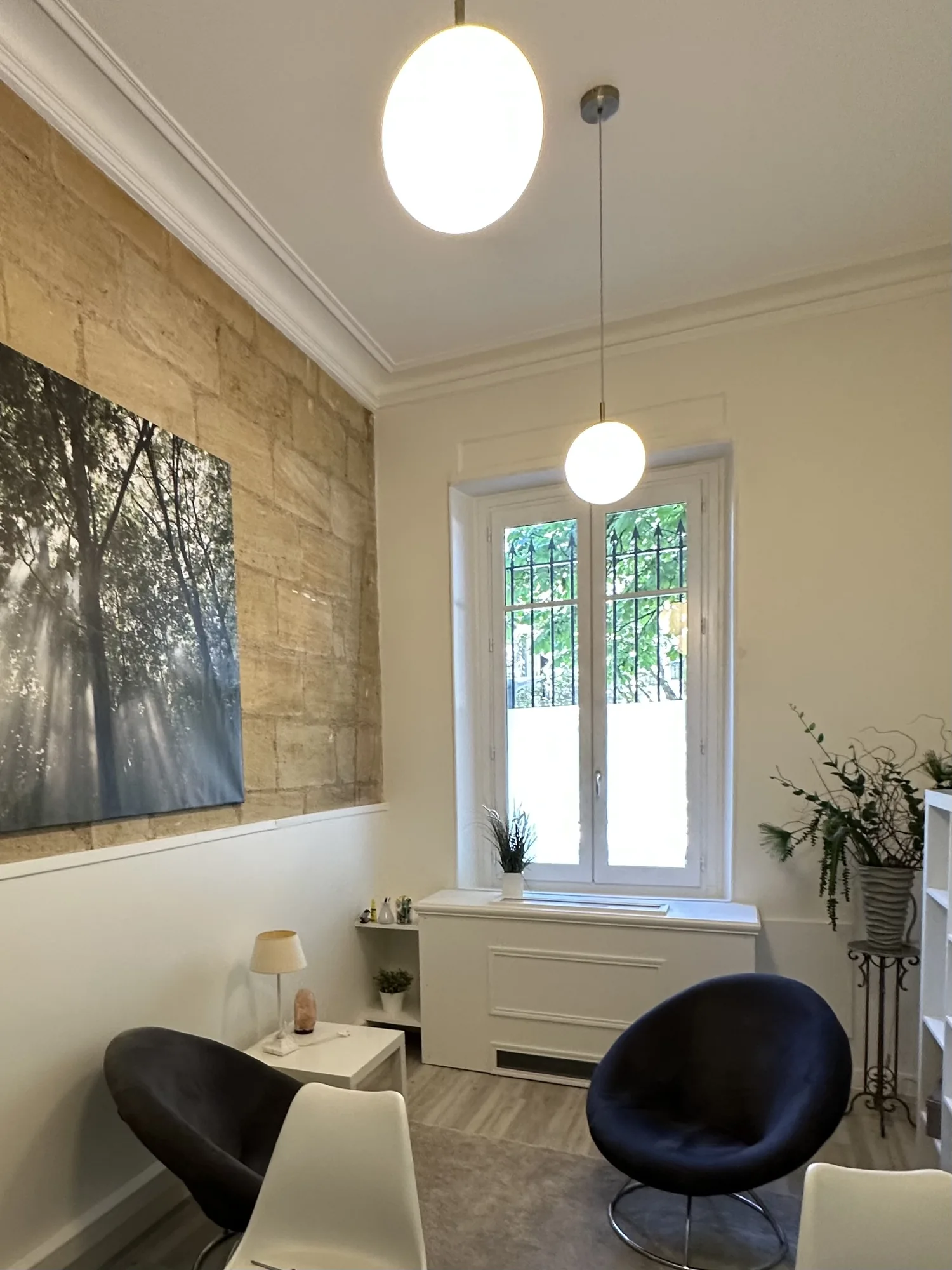 Cabinet I‑CA.RE Jardin Public – photo 4